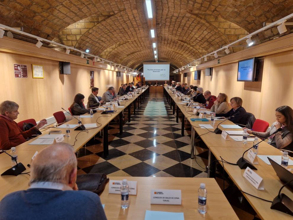 Reunión del pleno del Consejo de Salud de Aragón