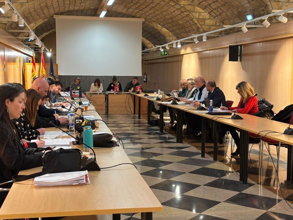 La reunión ha tenido lugar esta mañana en la Sala Hermanos Bayeu.