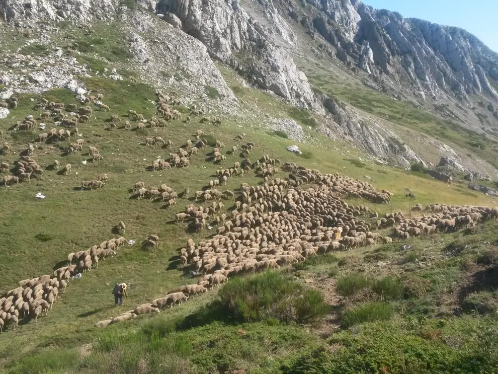 Salomon 2017_foto Mariana Couto 2