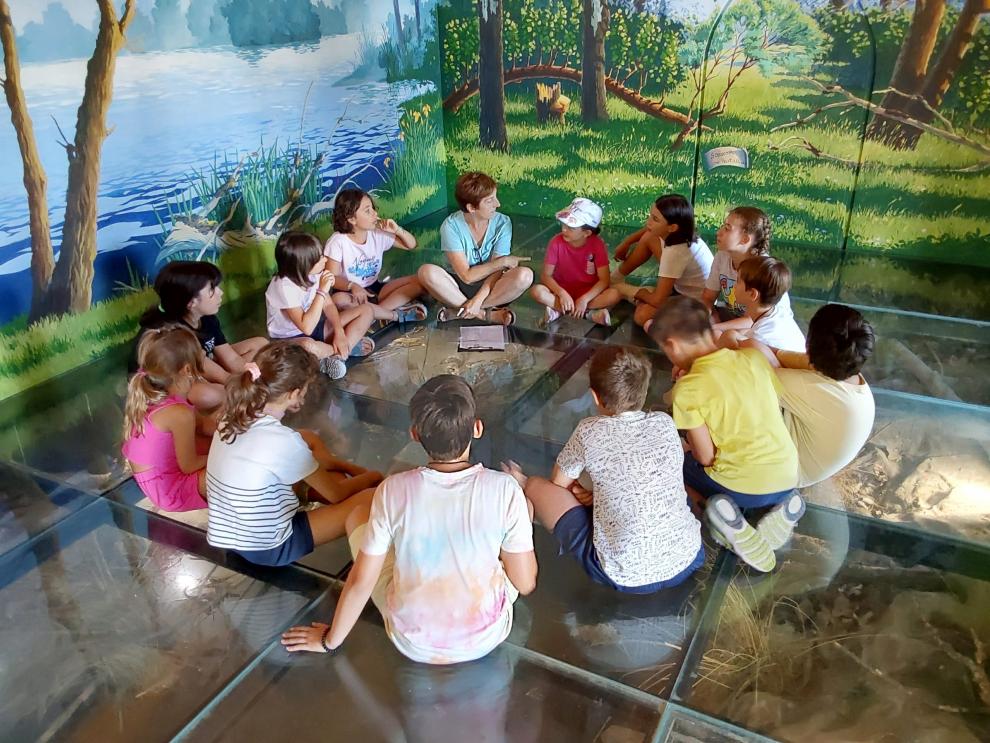 Campus infantil de La Alfranca