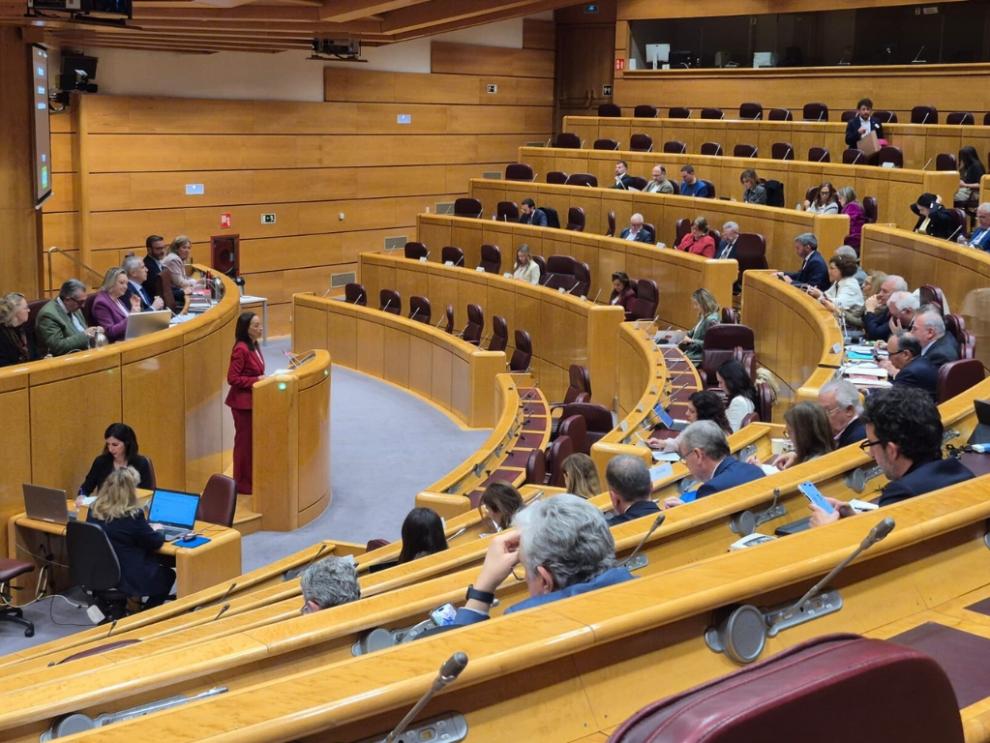 Susín ha comparecido este martes en la comisión general de CCAA del Senado para hablar sobre la gestión de la dependencia y su financiación