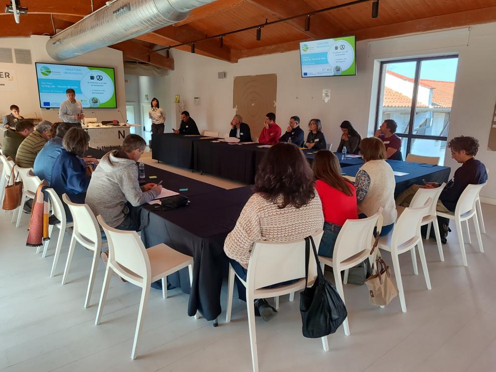 Reunión proyecto TEDY