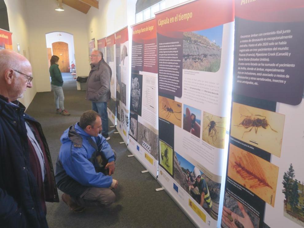 : La exposición “Dinosaurios del Carbón” se exhibe en el área de acceso al Aula de Paleontología.