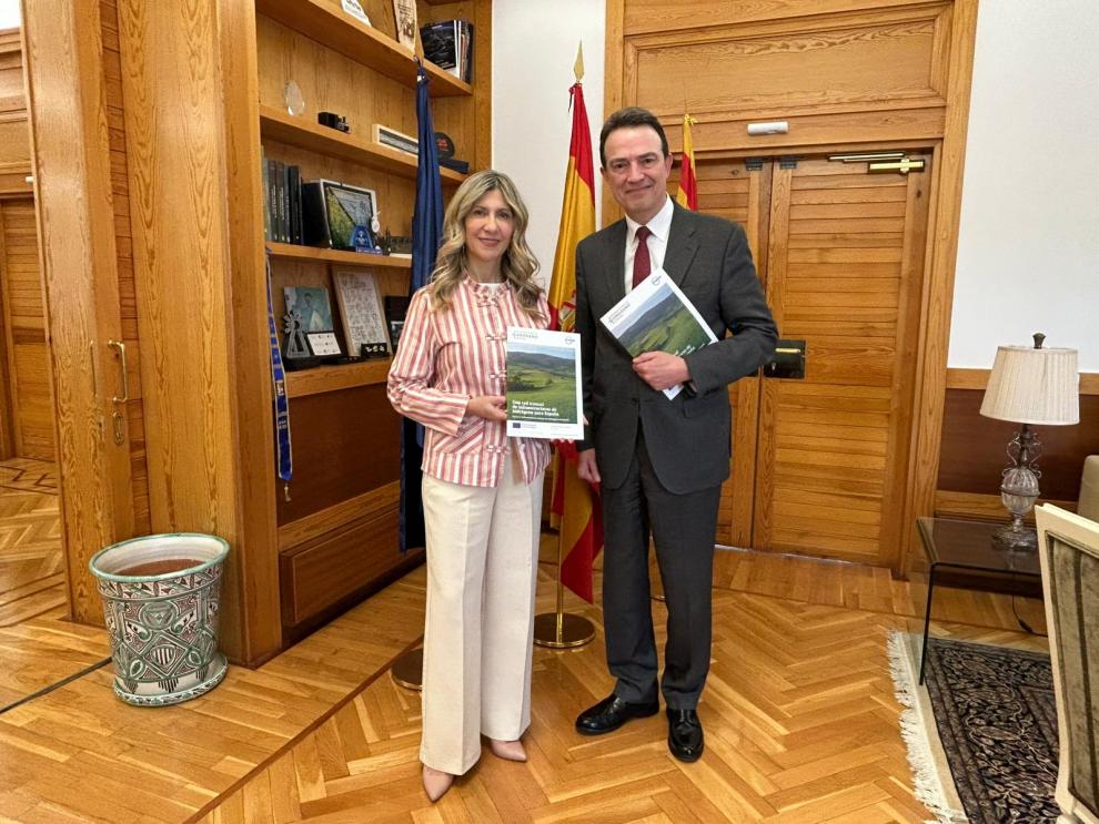 La reunión se ha celebrado este martes en el Pignatelli