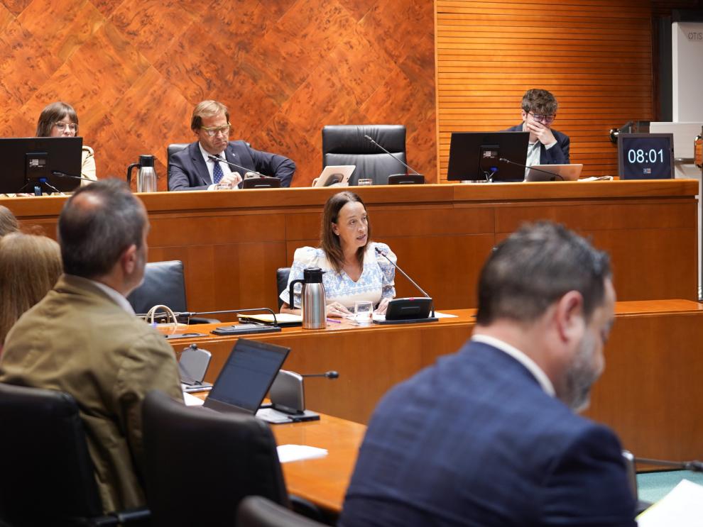 La consejera Susín ha comparecido este lunes por primera vez en la comisión de Educación, Ciencia y Universidades