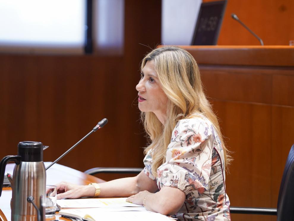 Mar Vaquero durante su comparecencia en la comisión