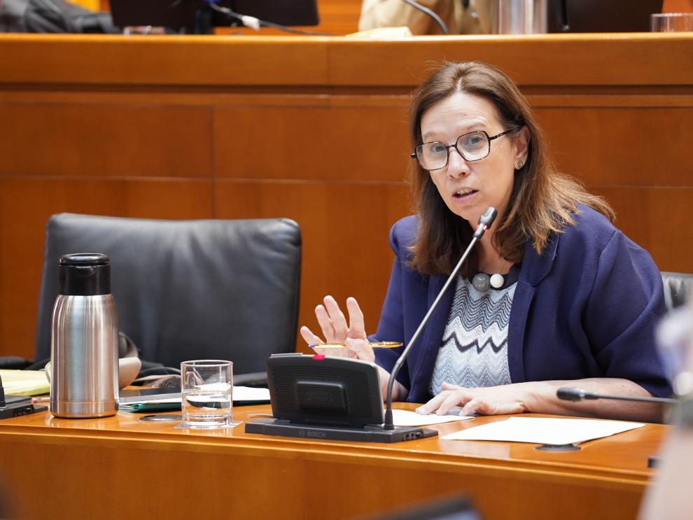 Marisa Feijóo, directora general de Universidades, ha comparecido este martes en la comisión