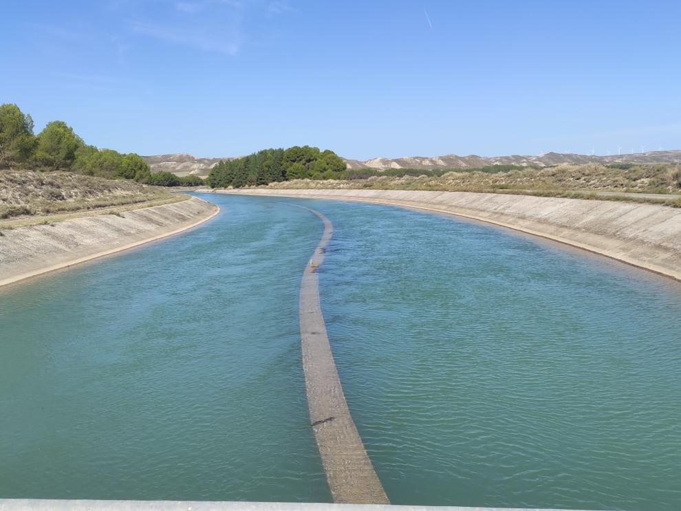 Una investigación del CITA busca mejorar la estimación del agua necesaria para los cultivos de regadíos.