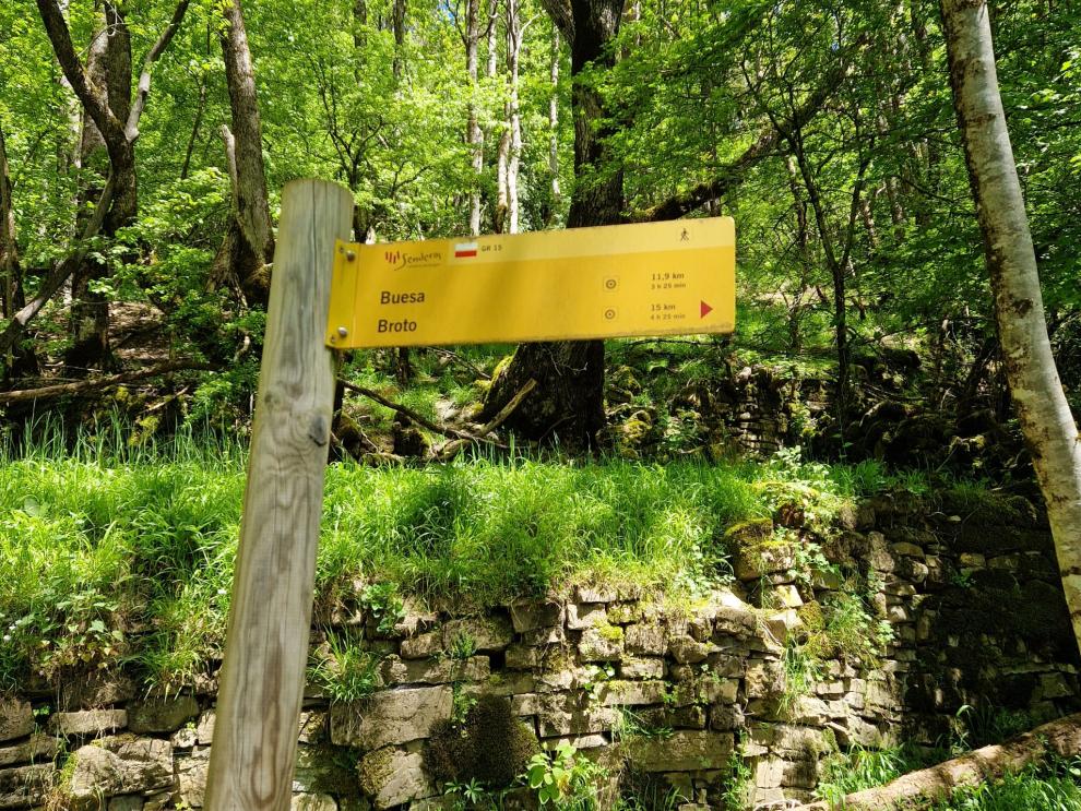 Con altas temperaturas, como las de estos ideas, hay que planificar las excursiones y buscar rutas donde domine la sombra