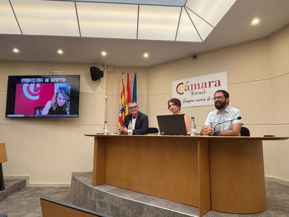 El Gobierno de Aragón destinará 500.000 euros del FITE a modernizar el comercio turolense.
