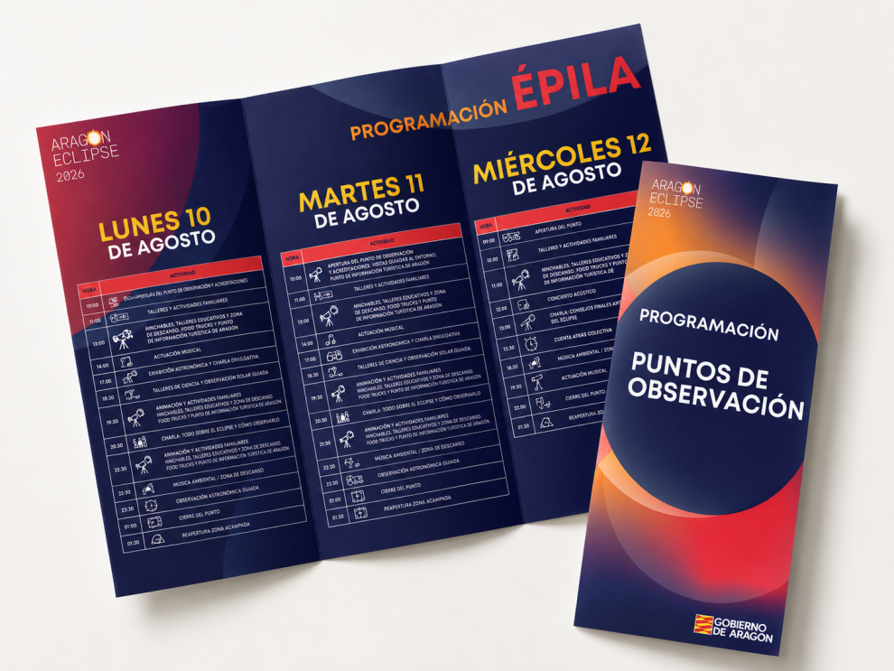 PROGRAMACION POGA EPILA