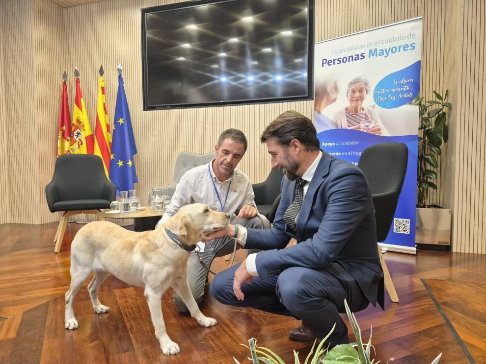 El director general de Familia, Infancia y Natalidad, David Sainz, conoce a un perro con funciones de cuidados durante las IV Jornadas de Especialistas en el Cuidado