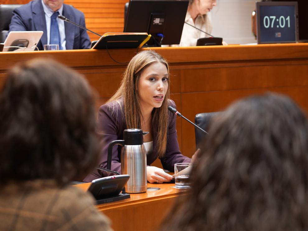 La directora general de Transparencia, Participación Ciudadana y Acción Exterior ha comparecido este lunes en las Cortes de Aragón