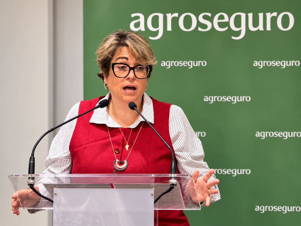 La consejera de Agricultura, Ganadería y Alimentación, Arancha Simón, durante su intervención en la jornada divulgativa organizada por Agroseguro este martes en Zaragoza.